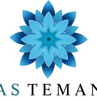 AS TEMAN's Initial Aspiration - AS TEMAN