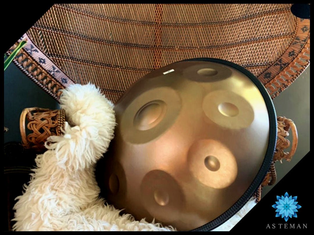 Hand Instrument Tan Handpan Instruments: An Investigation Of The Melodic Wizardry – AS TEMAN