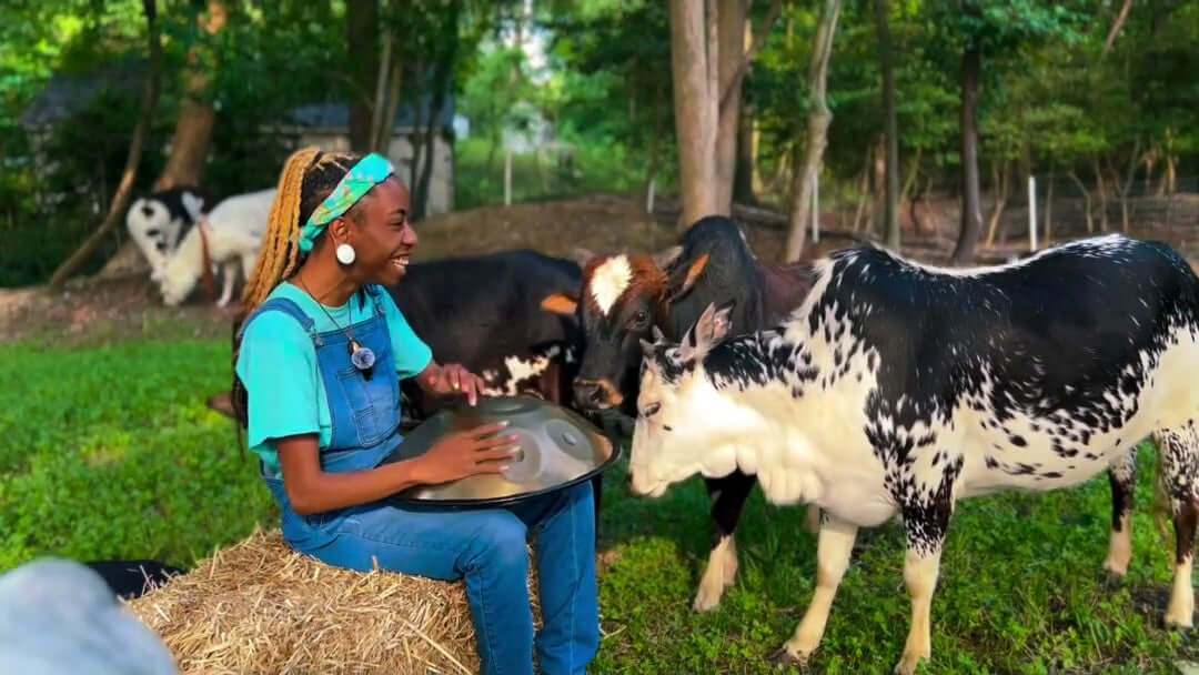 Daily entertainment with handpan